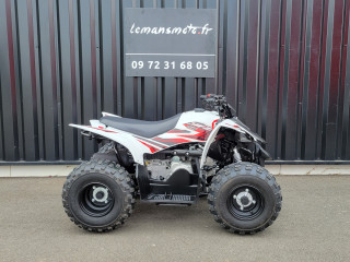 YAMAHA YFZ 50 raptor